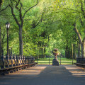 Discover Central Park: The Ultimate Guide to Exploring New York's Iconic Attraction