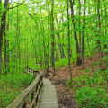 Exploring the Great Outdoors: Hiking and Biking Trails in New York City