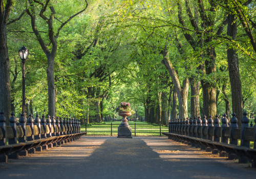 Discover Central Park: The Ultimate Guide to Exploring New York's Iconic Attraction