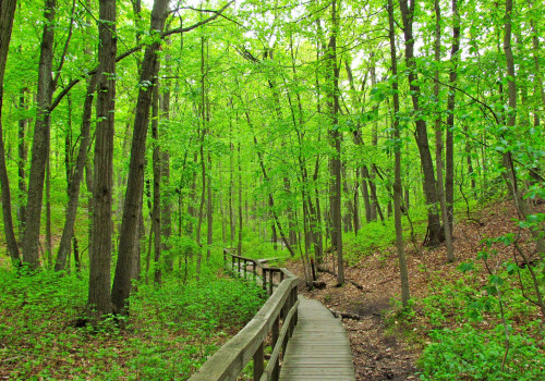 Exploring the Great Outdoors: Hiking and Biking Trails in New York City